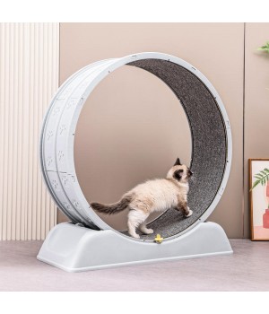 Manufacturer Wholesale Stable Running Wheel Cat Treadmill Exercise Cat Running Wheel Treadmill Fun Interactive Pet Toys