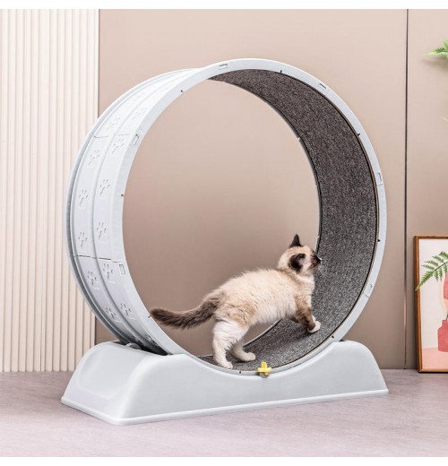 Manufacturer Wholesale Stable Running Wheel Cat Treadmill Exercise Cat Running Wheel Treadmill Fun Interactive Pet Toys