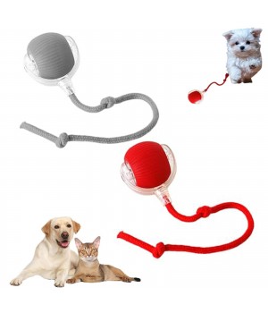 2025 New Automatic Jump Rolling Ball For Dog Smart Dog Toy Ball Electronic Interactive Cat Toy