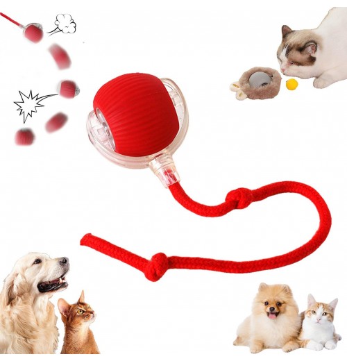 ZMaker New Design 360° Smart Automatic Interactive Dog Smart Ball Toy Interactive Cat Toys Rolling Ball With USB Charger