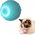 Luxury Small Interactive Pet Toy for Cats and Dogs New Smart Rolling Bite-Resistant Silicone Ball Boredom-Relieving Dog Toy