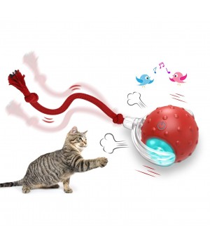 Including All of the best-selling Interactive Cat Toy USB Rechargeable Fast Rolling Perfect for Carpets