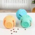 Pet dog toy ball Cat toy outdoor bite resistant puzzle anti-choking teeth clean teeth food grade silicone leakage ball