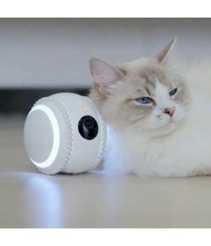 Interactive Smart Video Pet Toys Funny Rubber and Silicone Cat Dog Robotic Toys Sustainable For Playing