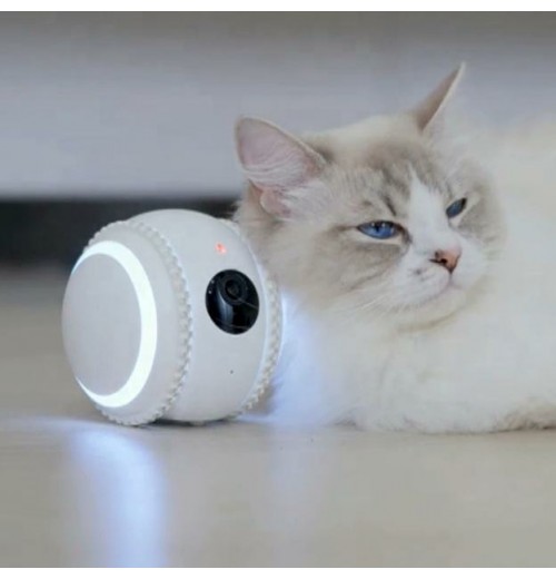 Interactive Smart Video Pet Toys Funny Rubber and Silicone Cat Dog Robotic Toys Sustainable For Playing